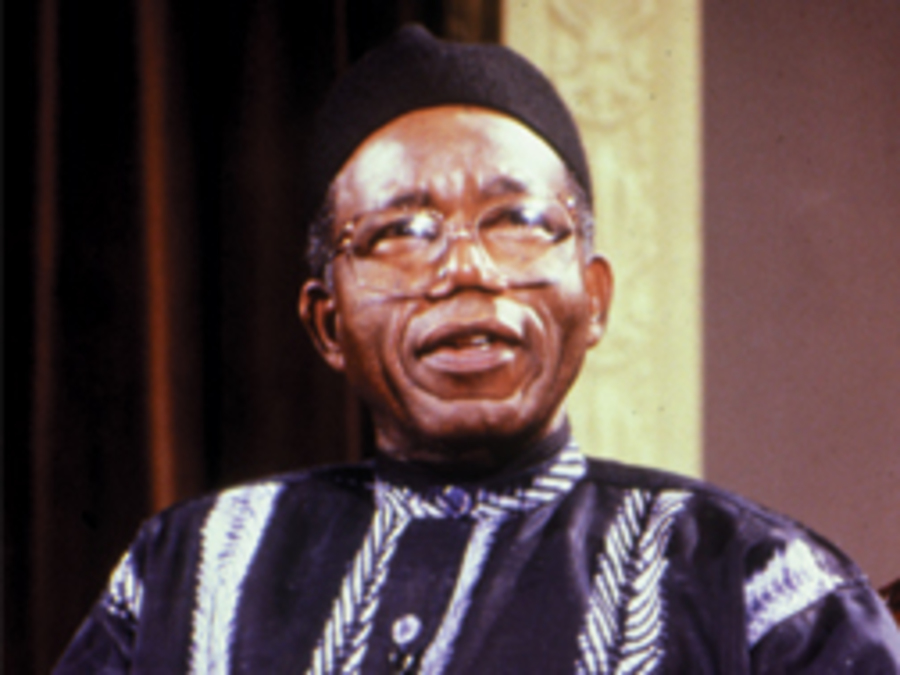 Cover image for Chinua Achebe: African Literature as Celebration