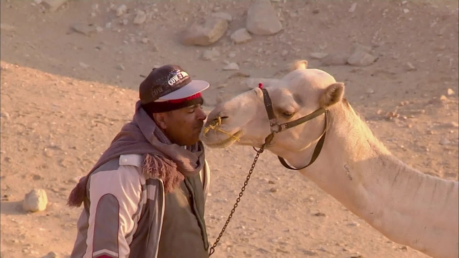 Cover image for Egypt Tourism (Episode 208)