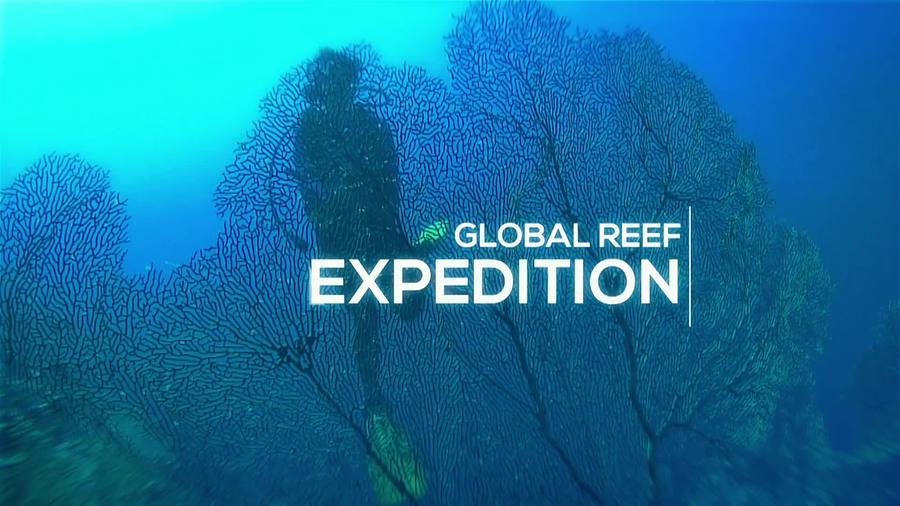 Cover image for Great Barrier Reef