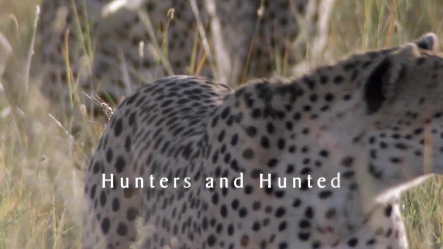 Cover image for Life, Hunters And Hunted