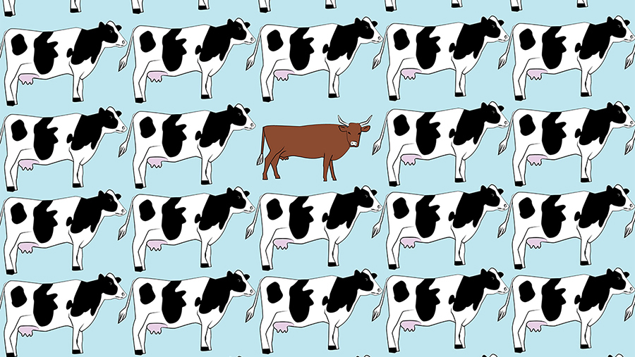 Cover image for The Holstein Dilemma