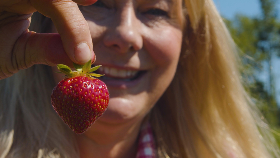 Cover image for Episode 2, Strawberries Forever (Welcome to My Farm, Season 1)