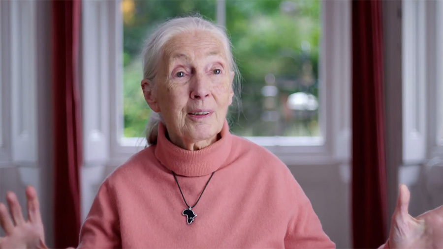 Cover image for Jane Goodall: The Hope