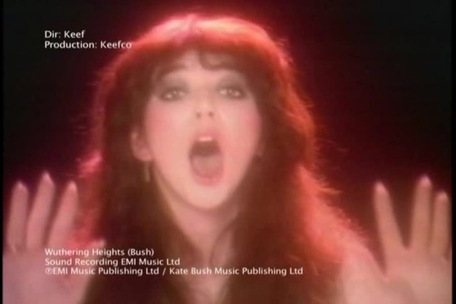 Cover image for Kate Bush : A Life Of Surprises