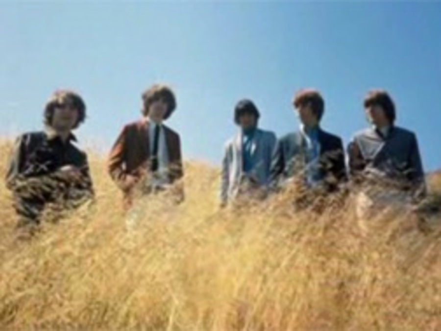Cover image for The Byrds: Under Review