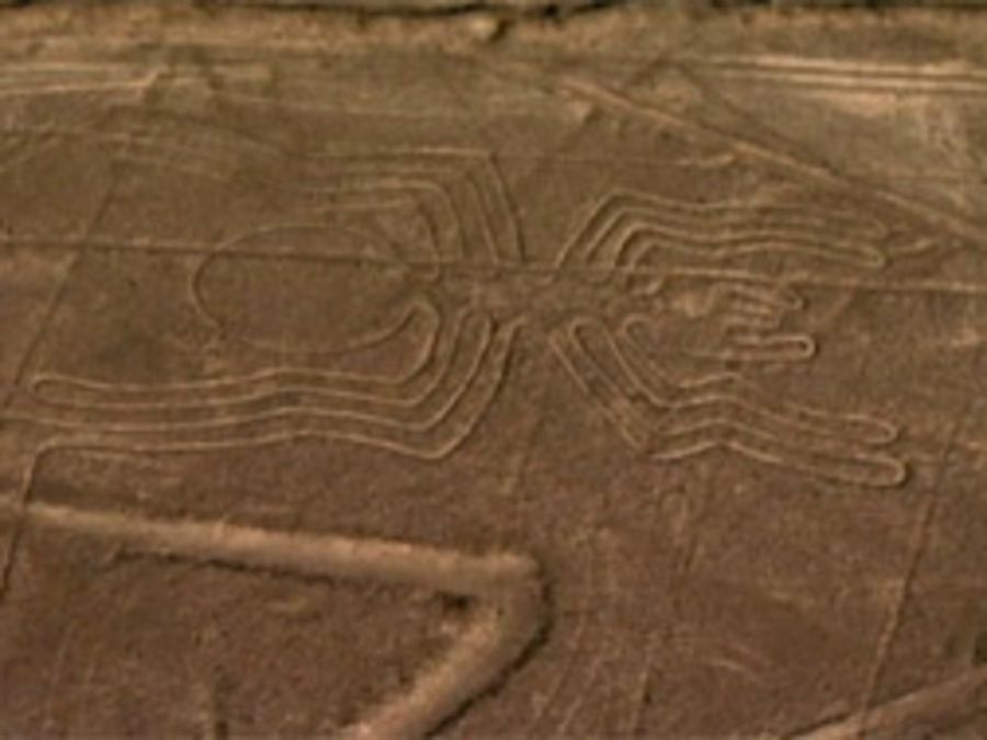 Cover image for Nazca Decoded