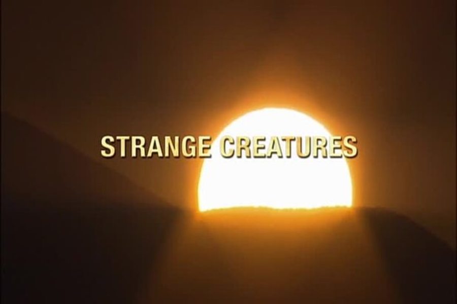 Cover image for Nova: Strange Creatures