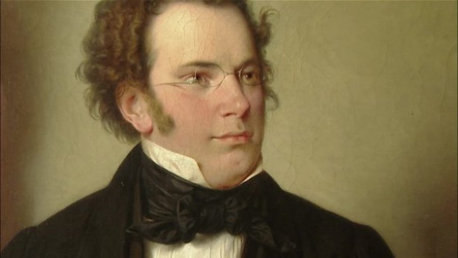 Cover image for Schubert (Documentary)
