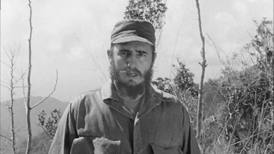 Cover image for The Fidel Castro Tapes