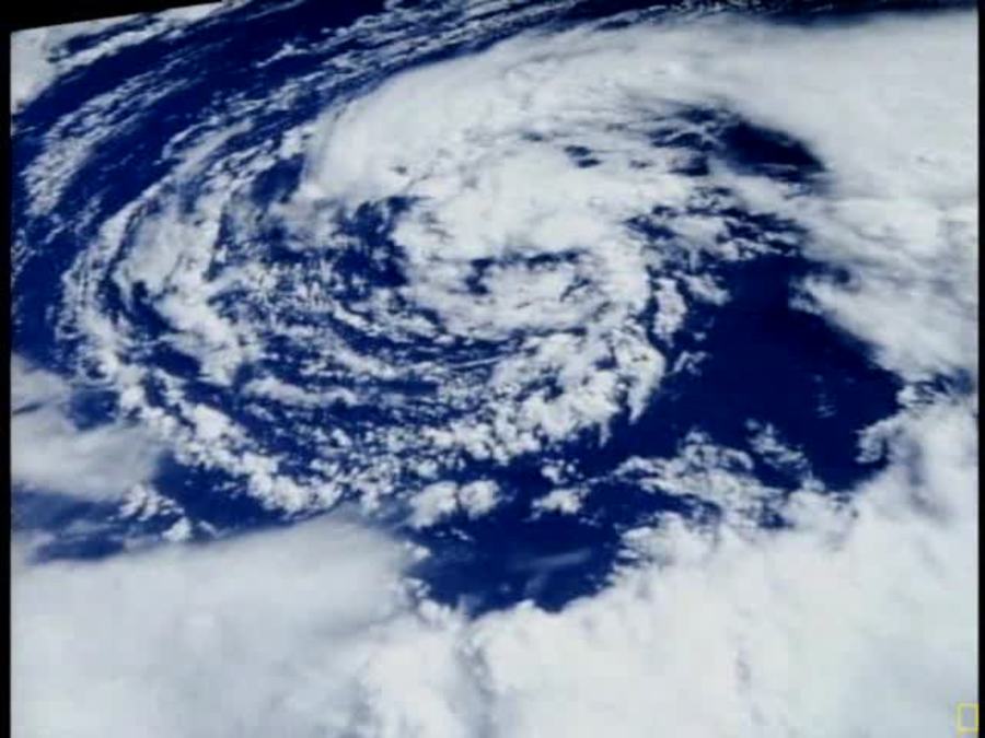 Cover image for Hurricanes 101